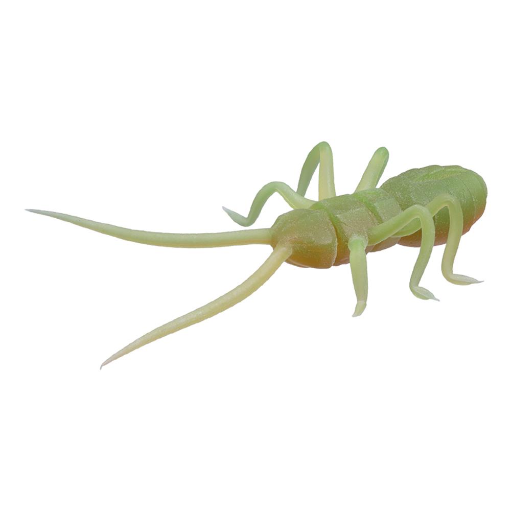 ǰ 